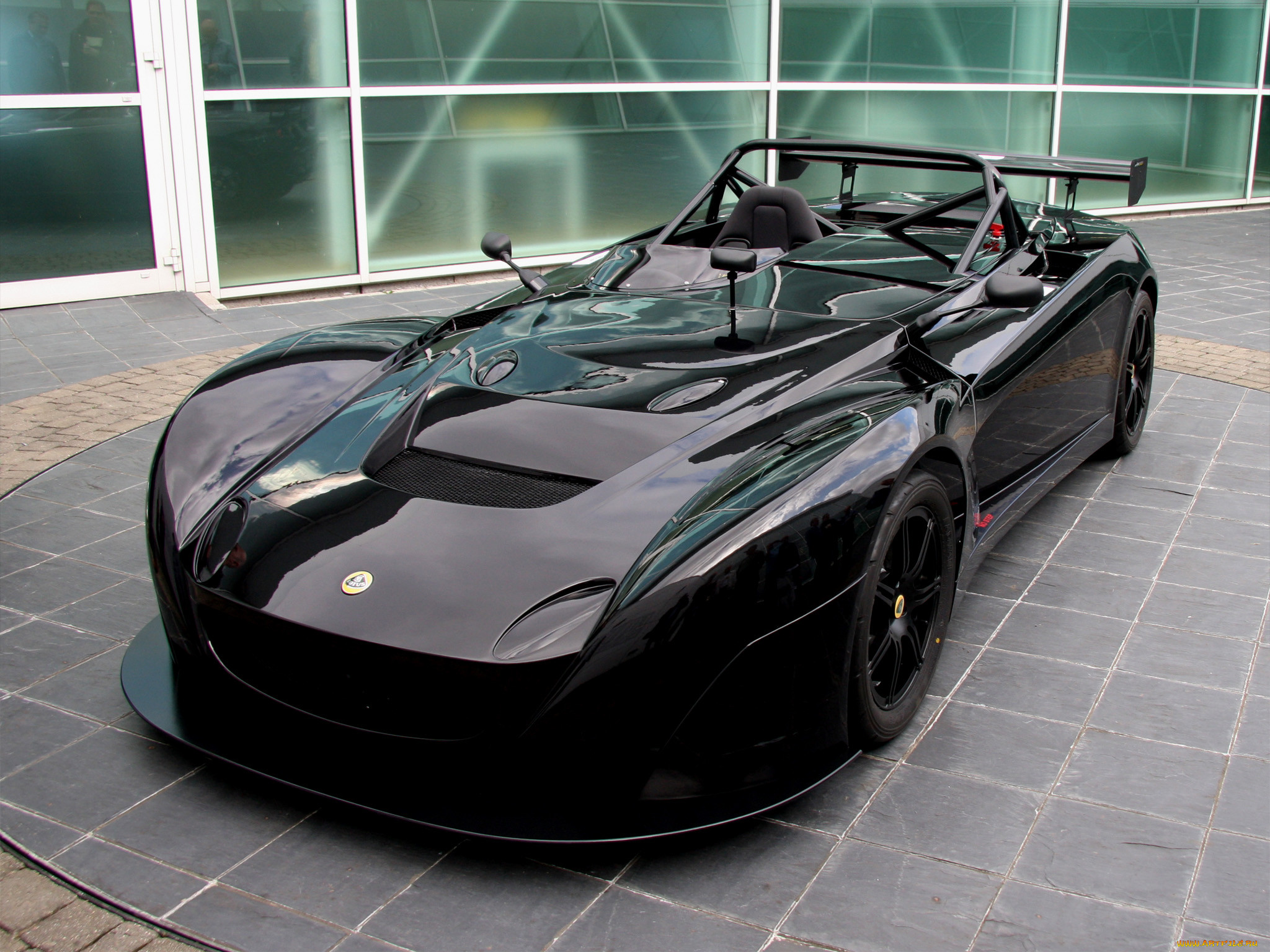 , lotus